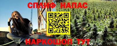 крисы Гудермес
