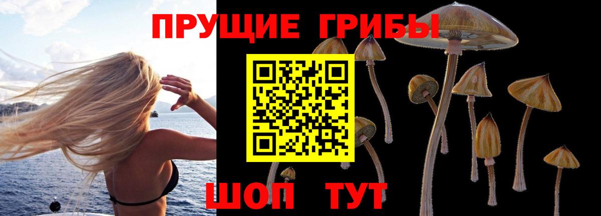 Галлюциногенные грибы MAGIC MUSHROOMS  Вход с VPN  Гуково 